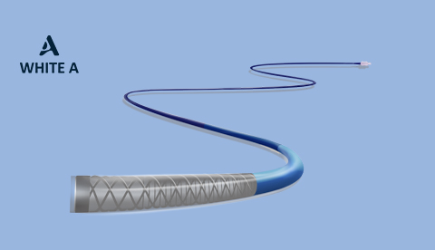Easyport-Distal-Access-Catheter