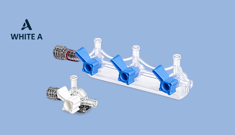 Manifold