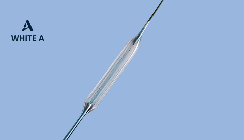 Paclitaxel-Coated-PTCA-Balloon-Catheter
